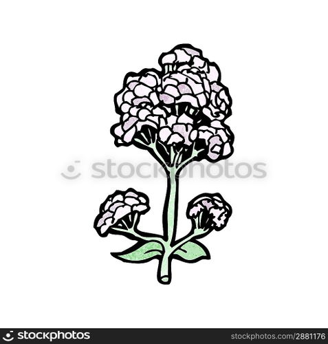 Cartoon Vector