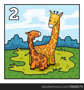 Cartoon vector illustration for children. Learn to count with animals, two giraffes