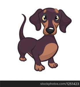Cartoon Vector Illustration of Cute Purebred Dachshund Dog. Isolated on white background