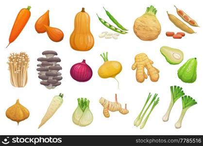 Cartoon vegetables, beans and mushrooms. Vector carrot, butternut pumpkin, shallots and celery tuber. Broad beans, enoki and oyster mushrooms, onion, ginger root and chayote or jicama with parsnips. Cartoon vegetables, beans and mushrooms vector set