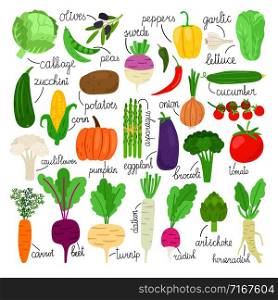 Cartoon vegetables collection. Vegetale vector objects isolated, carrot and radish, garlic and pepper, corn and zucchini fresh vegets. Cartoon vegetables collection