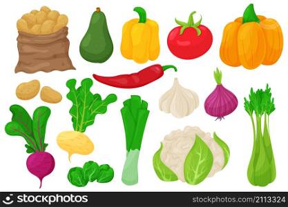 Cartoon vegetables. Vegan food, potatoes, peppers, pumpkin, celery, beets, onions, tomatoes, cauliflower, garlic. Vector vegetable set collection vegetative objects agriculture. Cartoon vegetables. Vegan food, potatoes, peppers, pumpkin, celery, beets, onions, tomatoes, cauliflower, garlic. Vector vegetable set
