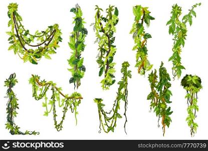Cartoon vertical jungle tropical liana branch vines, vector forest plant thicket and ivy tree. Tropical jungle forest green liana branch with green hanging vines and creeping stems, isolated set. Cartoon vertical jungle tropical liana branch vine