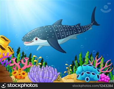 Cartoon whale shark in the sea