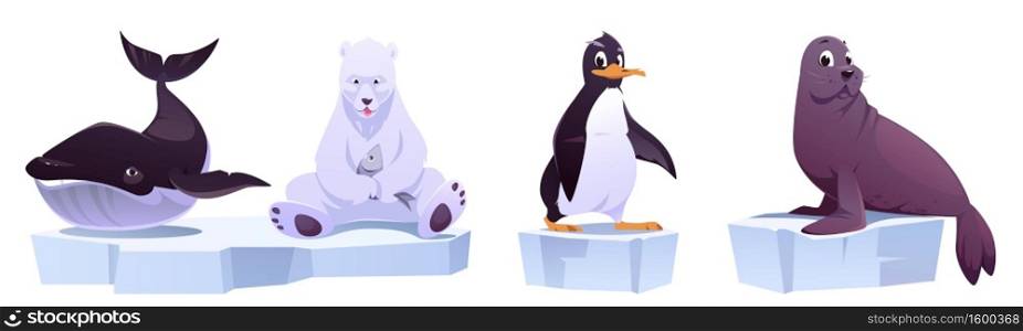 Cartoon wild animals on ice floes sea whale, white bear, penguin and seal. North Pole inhabitants in zoo park or outdoor area. Beasts in fauna isolated on white background, vector illustration, set. Cartoon wild animals on ice floes whale, bear,