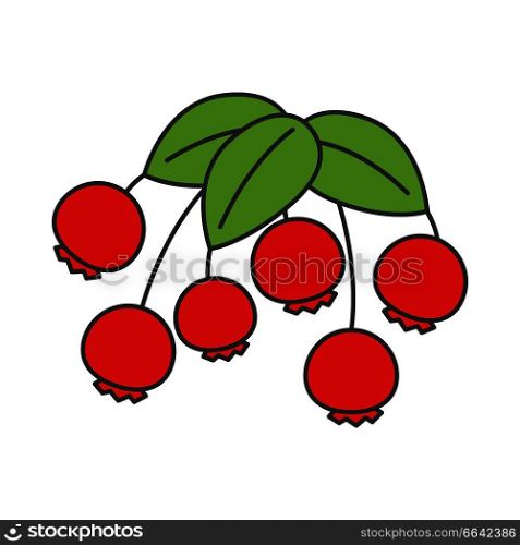 Cartoon wild red berries with green leaves isolated on white background. Traditional symbol of Thanksgiving Day vector illustration. Wild forest plant that grows on bushes everywhere all over world.. Cartoon Wild Berries with Leaves Illustration