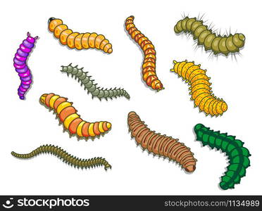 Cartoon worms and other insects. Vector illustration. Cartoon worms