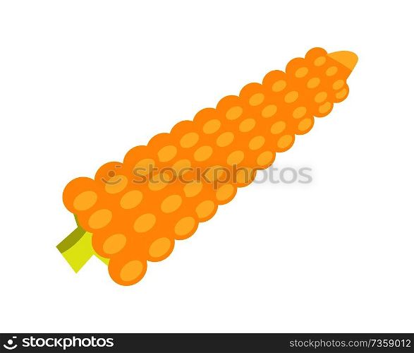 Cartoon yellow corn isolated on white background, vector illustration agriculture plant template, natural product, fresh cob, lot of round grains.. Cartoon Yellow Corn Isolated on White Background