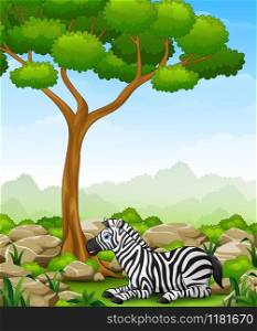 Cartoon zebra lay down in the jungle