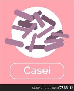 Casei bacteria for healthy digestion and good microflora. Bacterium with beneficiary effect. Probiotics helping immune system, immunity booster. Microorganisms with text, vector in flat style. Casei Probiotics for Human Digestive System Vector