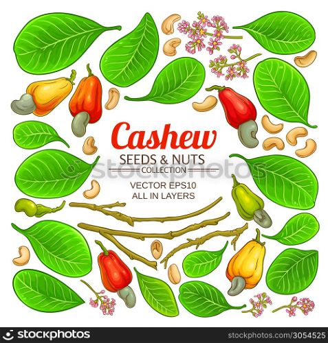 cashew elements set on white background. cashew elements set