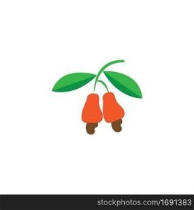 cashew fruit design illustration icon logo templat