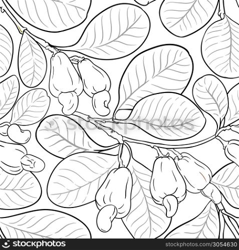 cashew vector pattern on white background. cashew vector pattern