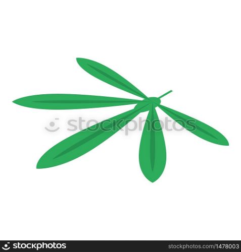 Cassava leaf icon. Isometric of cassava leaf vector icon for web design isolated on white background. Cassava leaf icon, isometric style