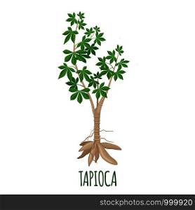 Cassava plant icon in flat style isolated on white background. Vector illustration.. Cassava tree icon in flat style isolated on white background. Vector illustration.