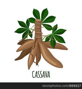 Cassava plant icon with roots and leaves in flat style isolated on white background. Vector illustration.. Cassava tree icon in flat style isolated on white background. Vector illustration.