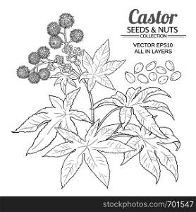 castor vector set on white background. castor vector set
