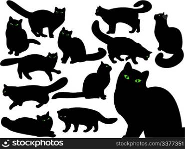Cat&acute;s silhouettes with green eyes
