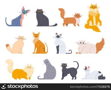 Cat breeds. Cute fluffy cats, maine coon, bobtail, siamese cat and funny sphynx cat, pedigree breeds pets isolated illustration icons set. Flat vector kittens bundle. Cat breeds. Cute fluffy cats, maine coon, bobtail, siamese cat and funny sphynx cat, pedigree breeds pets isolated illustration icons set. Flat vector drawing pack