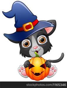 Cat cartoon with a witch hat holding pumpkin