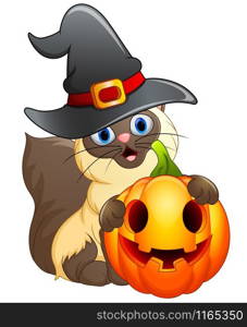 Cat cartoon with a witch hat holding pumpkin