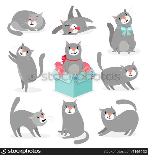 Cat character. Gray cute cat animal graphics collection isolated on white background, comic kitty pet poses set vector illustration. Gray cute cats collection