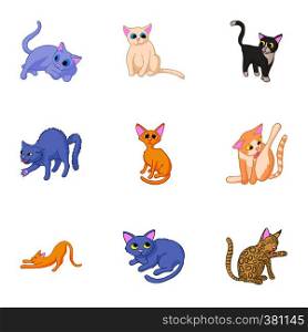 Cat family icons set. Cartoon illustration of 9 cat family vector icons for web. Cat family icons set, cartoon style