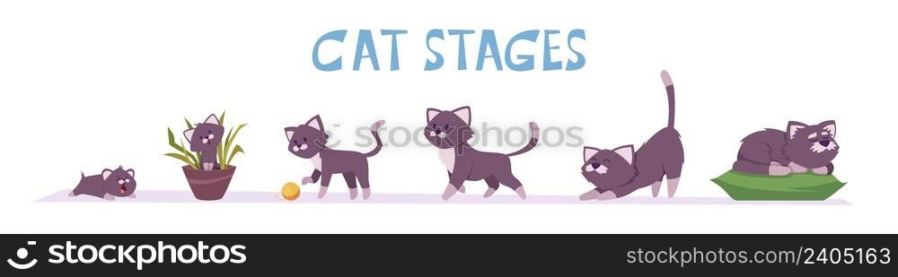 Cat growth stages. Small domestic animal playful and lying poses pets growing exact vector characters in cartoon style. Illustration of domestic kitten development. Cat growth stages. Small domestic animal playful and lying poses pets growing exact vector characters in cartoon style