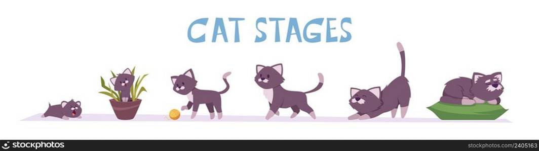 Cat growth stages. Small domestic animal playful and lying poses pets growing exact vector characters in cartoon style. Illustration of domestic kitten development. Cat growth stages. Small domestic animal playful and lying poses pets growing exact vector characters in cartoon style