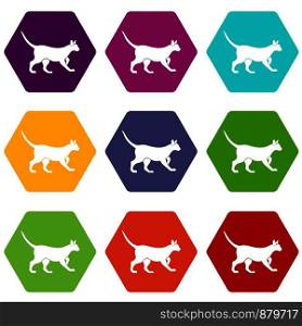 Cat icon set many color hexahedron isolated on white vector illustration. Cat icon set color hexahedron