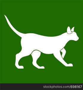 Cat icon white isolated on green background. Vector illustration. Cat icon green