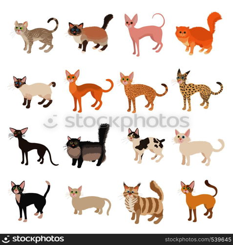 Cat icons set in cartoon style on a white background. Cat icons set, cartoon style