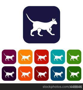 Cat icons set vector illustration in flat style In colors red, blue, green and other. Cat icons set flat