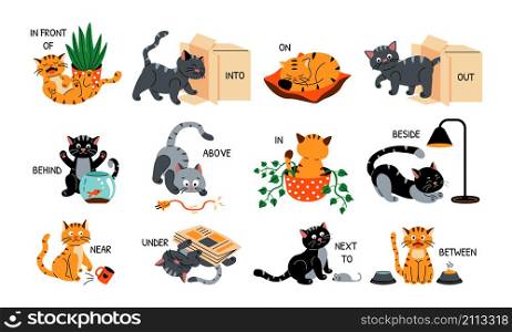 Cat in English prepositions. Cartoon cute cat near far above below behind and in front of cushion bowl with food and pot with plant. Vector set illustration cute active playful kitty. Cat in English prepositions. Cartoon cute cat near far above below behind and in front of cushion bowl with food and pot with plant. Vector set