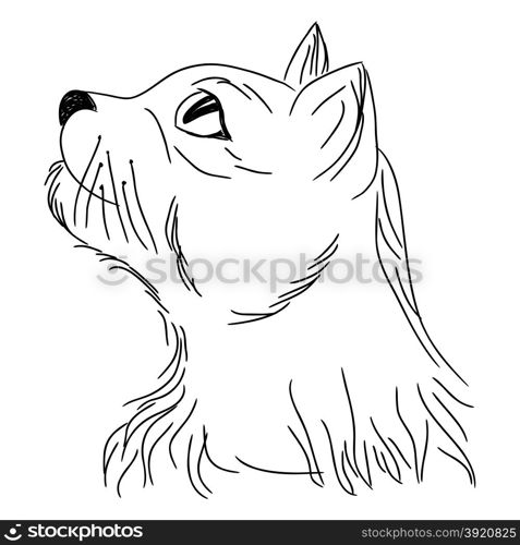 Cat in profile looking up portrait, sketching cartoon vector illustration