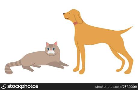 Cat lying, dog standing characters, animal on white, adorable mammals, domestic pet in flat design style, retriever and kitty side and portrait view vector illustration for t-shirt print. Animals Cat and Dog, Domestic Pet, Mammal Vector