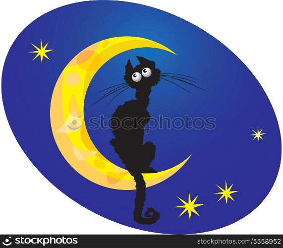 cat on moon