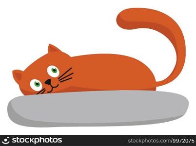 Cat on pillow, illustration, vector on white background