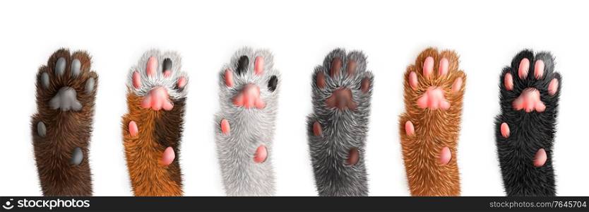 Cat paws of different color set isolated on white background realistic vector illustration