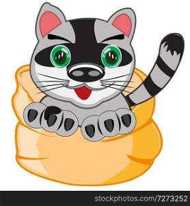 Cat peers out bag on white background is insulated. Cartoon pets animal cat in bag.Vector illustration