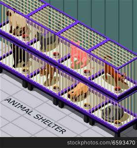 Cat shelter isometric background with animals on various breeds in cages with feed vector illustration. Cat Shelter Isometric Background