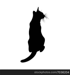 Cat Silhouette. Smooth and Clear. Vector Illustration.