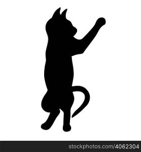 Cat stands on its hind legs black silhouette. Pet played vector isolated illustration. Abstract shadow animal