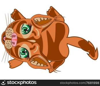 Cat type overhand on white background is insulated. Vector illustration home animal cat type overhand