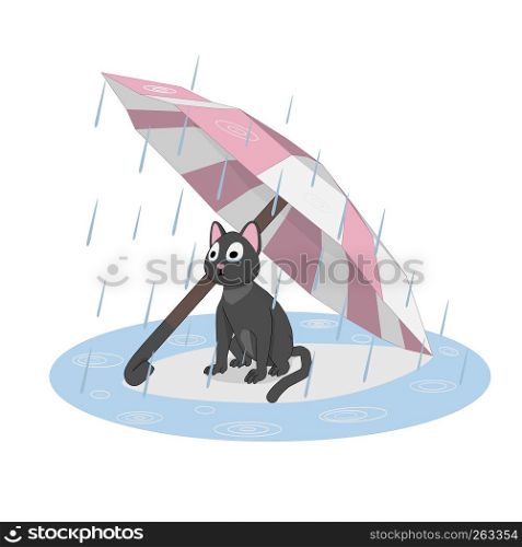 Cat under an umbrella, rain. Sad cat waiting for its owner.