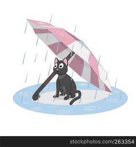 Cat under an umbrella, rain. Sad cat waiting for its owner.
