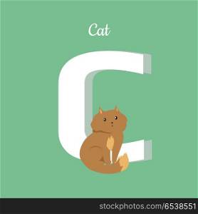 Cat with Letter C Isolated. Domestic Kitten. ABC. Cat with letter C isolated on green. Domestic brown kitten. Part of alphabetic series with animals. Fluffy cat mammal. Small funny house cat. ABC, alphabet. Vector illustration in flat style