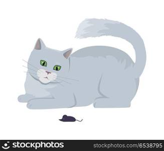 Cat with Mouse Vector Flat Design Illustration. Cat with mouse, Cute grey cat playing with toy flat vector illustration isolated on white background. Purebred pet. Domestic friend and companion animal. For pet shop ad, hobby concept, breeding. Cat with Mouse Vector Flat Design Illustration