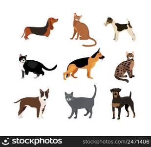 Cats and dogs vector illustration showing different breeds including a rottweiler fox terrier bloodhound german shepherd and pitbull and different fur color in the cats