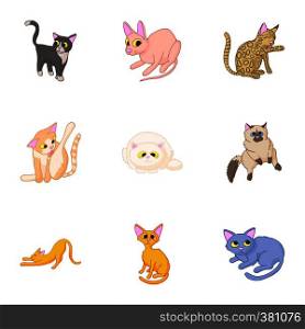 Cats icons set. Cartoon illustration of 9 cats vector icons for web. Cats icons set, cartoon style